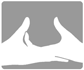 CollegeIndia Logo