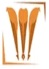 CollegeIndia Logo