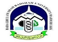 CollegeIndia Logo