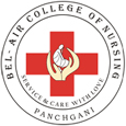 CollegeIndia Logo