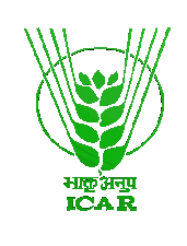 CollegeIndia Logo