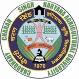 CollegeIndia Logo