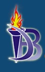 CollegeIndia Logo