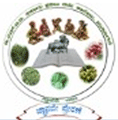 CollegeIndia Logo