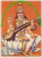 CollegeIndia Logo