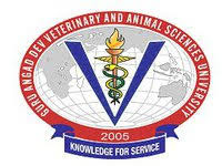 CollegeIndia Logo