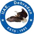 CollegeIndia Logo