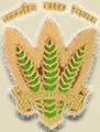 CollegeIndia Logo