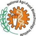 CollegeIndia Logo