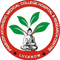 CollegeIndia Logo