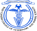 CollegeIndia Logo