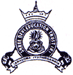 CollegeIndia Logo