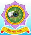 CollegeIndia Logo