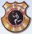 CollegeIndia Logo