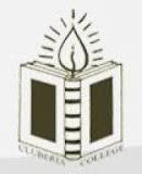 CollegeIndia Logo